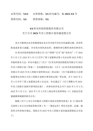 XX阳光科技控股股份有限公司关于公司202X年员工持股计划实施进展公告.docx