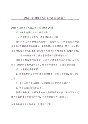 2023年出纳员个人的工作计划（20篇）.docx