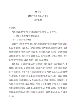 XX公司202X年度董事会工作报告.docx