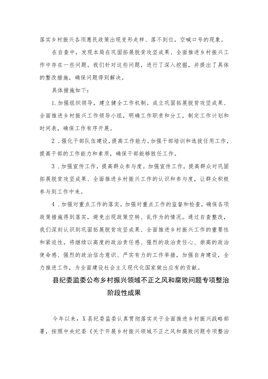 2023税务局乡村振兴自查整改落实情况报告精选10篇.docx_第2页