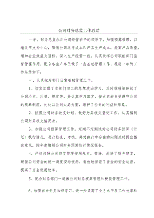 公司财务总监工作总结.docx