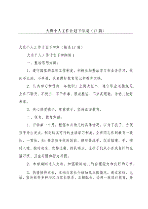 大班个人工作计划下学期（17篇）.docx