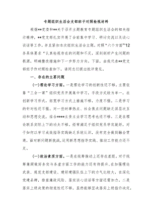 专题组织生活会支部班子对照检视材料.docx