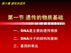 遗传物质的基础.ppt