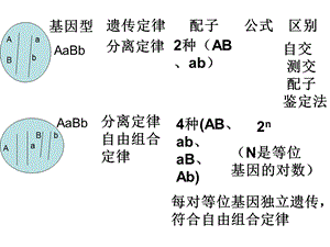 遗传分子基础.ppt