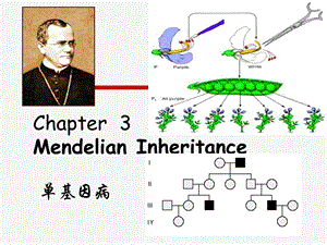 遗传学医用7.ppt