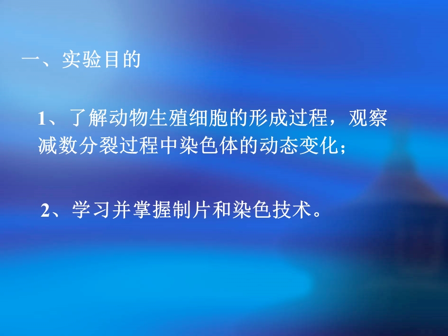 遗传实验减数分裂.ppt_第2页