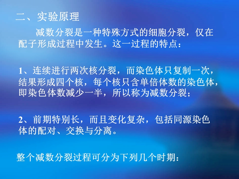 遗传实验减数分裂.ppt_第3页