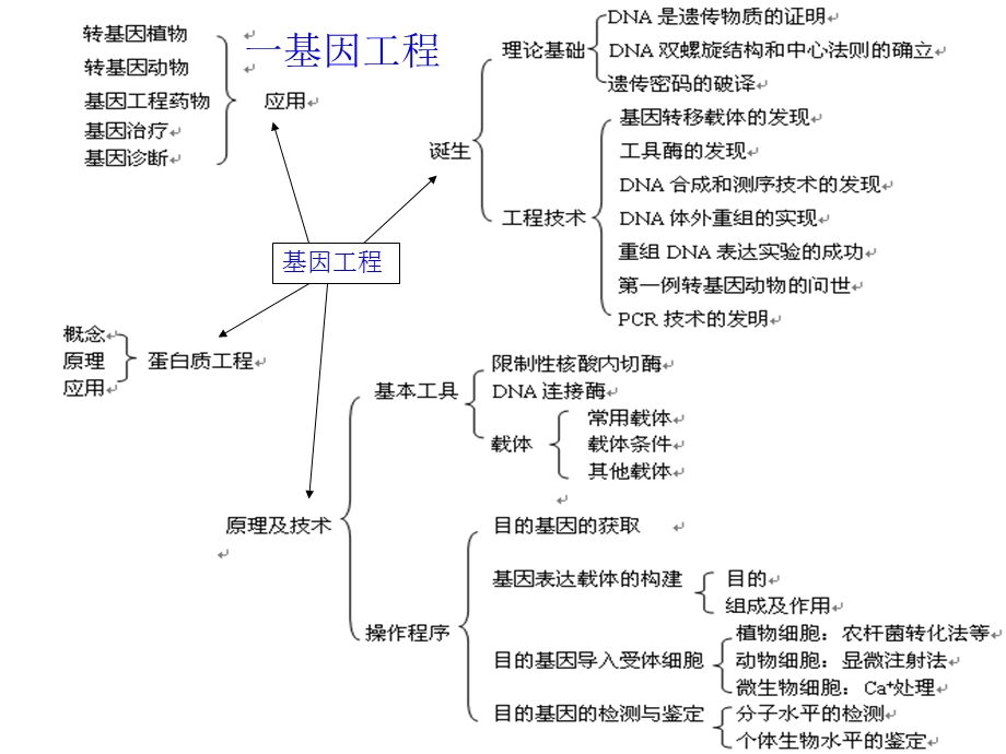 选修三复习网路wg.ppt_第1页