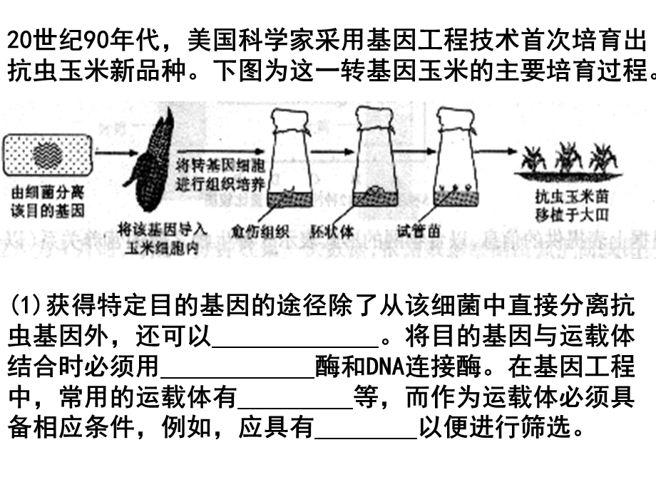 选修三复习网路wg.ppt_第2页