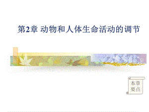 通过神经系统的调节2.ppt