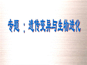 遗传变异进化专题.ppt