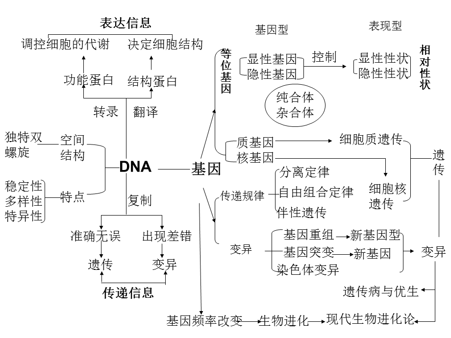 遗传的物质基础DNA.ppt_第2页