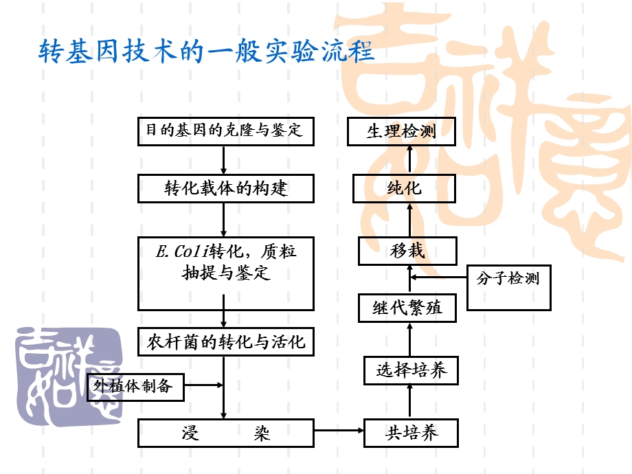 载体的构建Constructionofvector.ppt_第2页