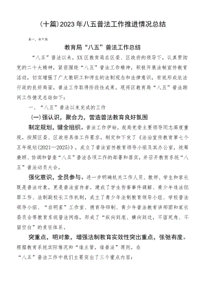 （十篇）2023年八五普法工作推进情况总结.docx