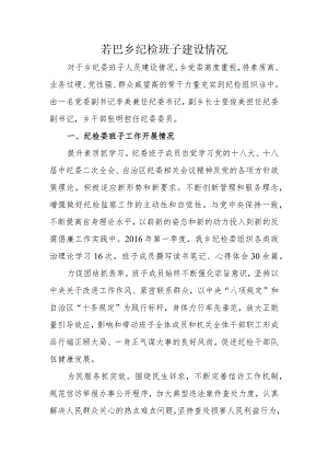 若巴乡纪检委员情况.docx