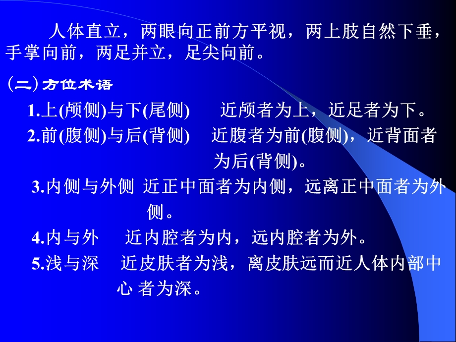 针灸针刀等解剖学基础.ppt_第3页