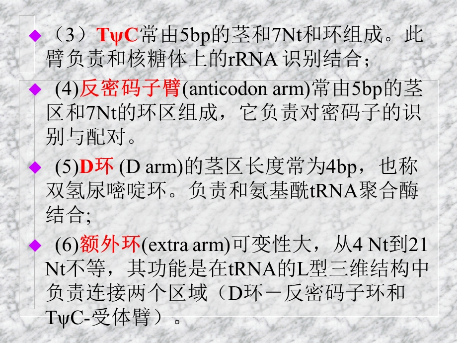 遗传密码和翻译系统.ppt_第2页