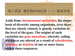 遗传物质的改变二.ppt