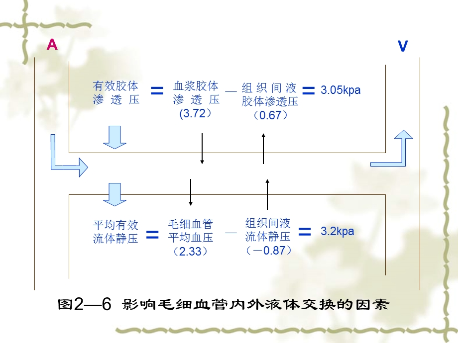 过多的液体在组织间隙或体腔中积聚.ppt_第2页