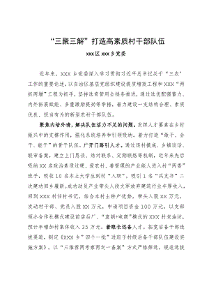 经验材料：“三聚三解”打造高素质村干部队伍.docx