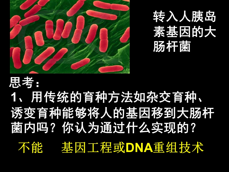 选修3专题111DNA重组技术的基本工具.ppt_第1页