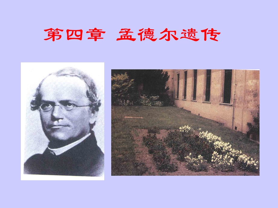 遗传学幻灯4.ppt_第1页