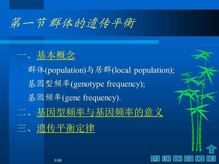 遗传学第十章群体遗传与进化.ppt_第3页