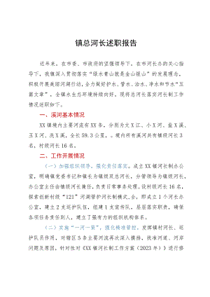 镇总河长述职报告.docx