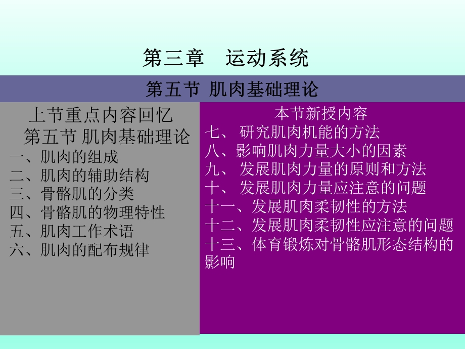 骨骼肌基础理论.ppt_第2页