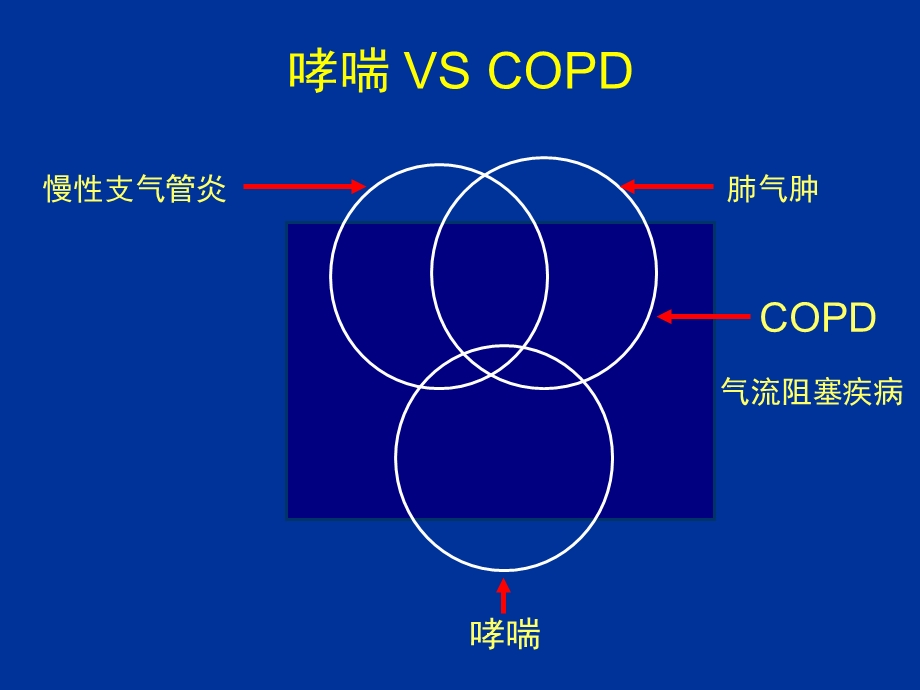 高金明教授呼吸内科ppt课件.ppt_第3页