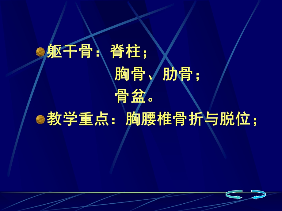 骨伤科躯干骨折.ppt_第2页