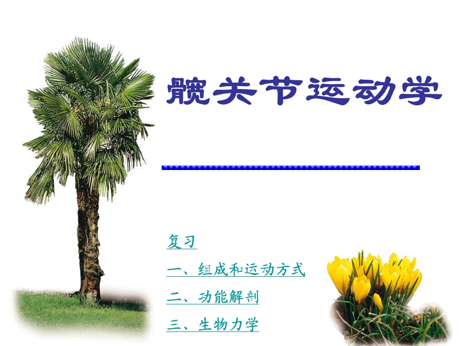 髋关节运动学.ppt_第1页