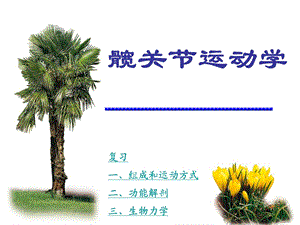 髋关节运动学.ppt