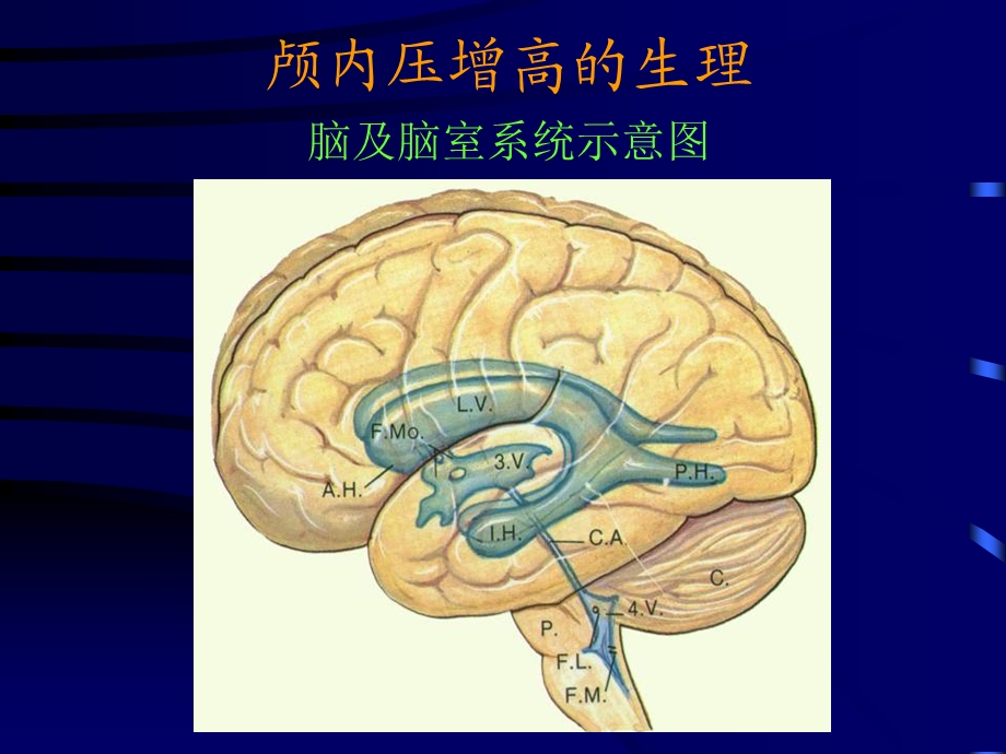 颅内压增高症.ppt_第3页