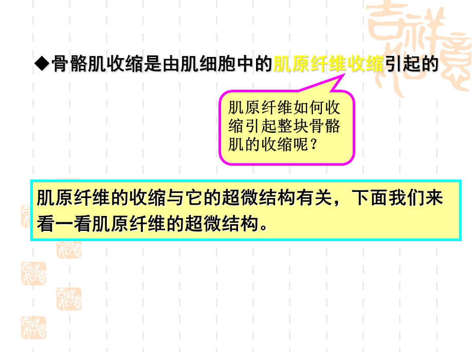 骨骼肌收缩的功能.ppt_第2页