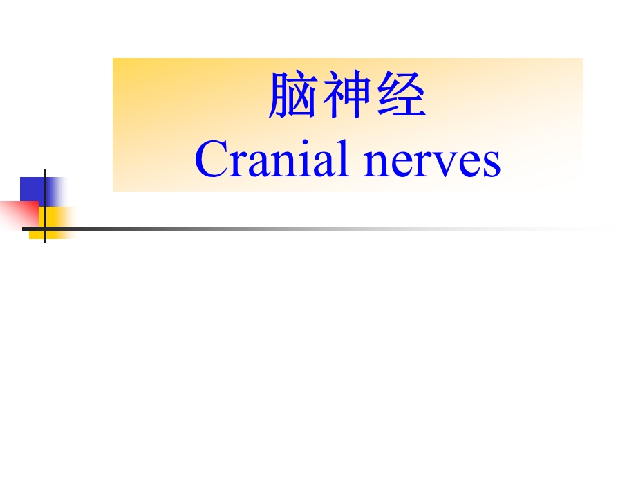 颅神经赵建华本科教学.ppt_第1页