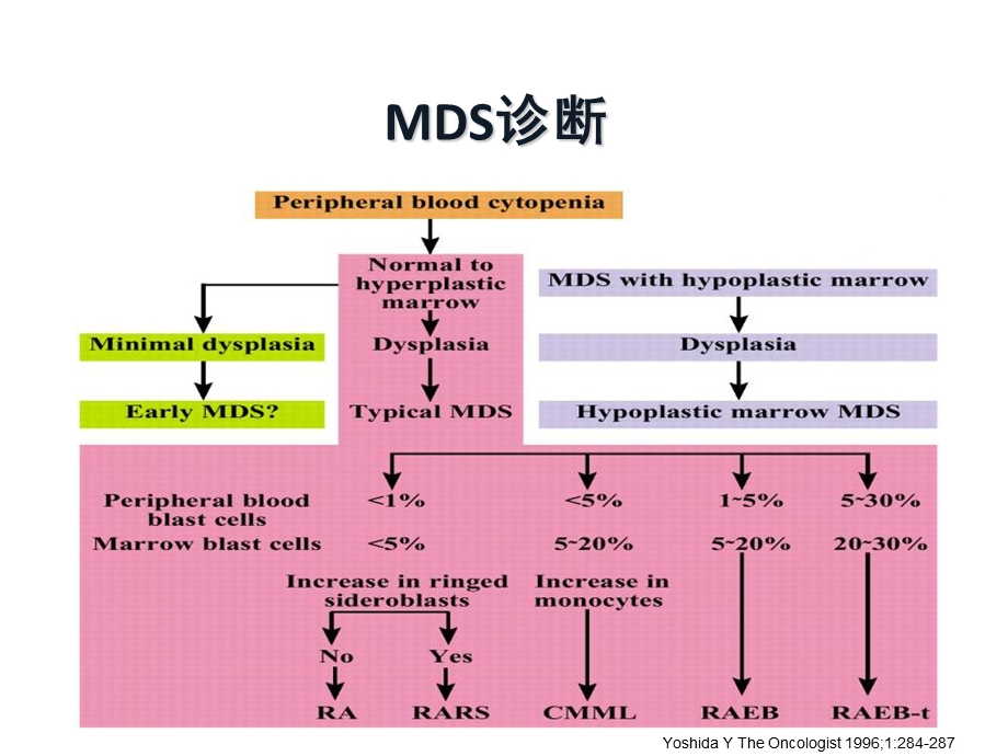 骨髓增生异常综合征的诊治进展.ppt_第3页