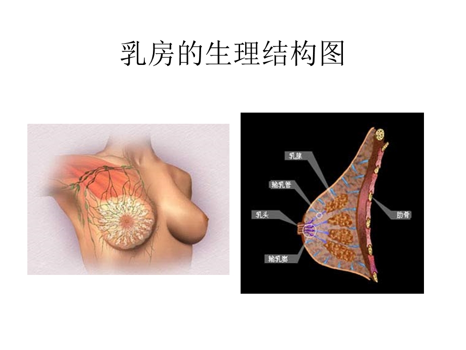 良性乳腺疾病.ppt_第3页