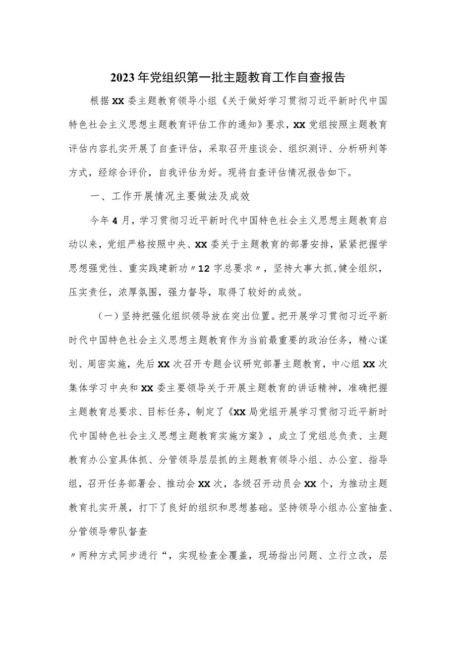 2023年党组织第一批主题教育工作自查报告.docx_第1页