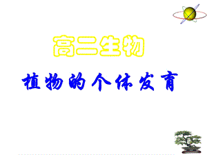 花的结构双受精.ppt