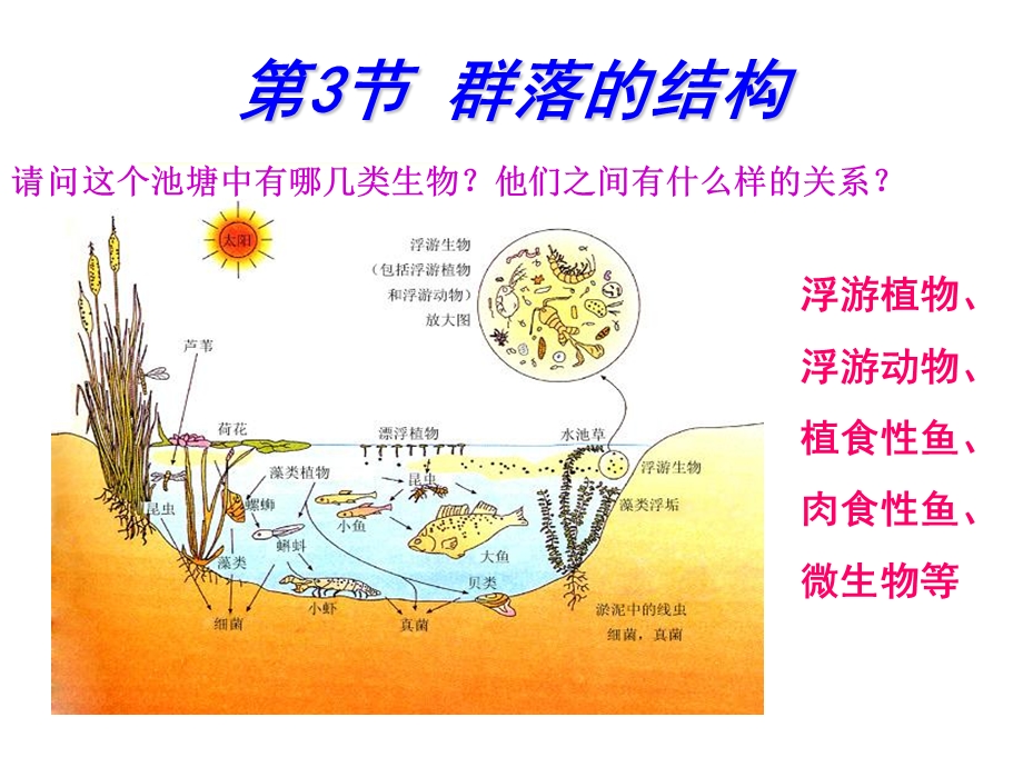 群落结构ke.ppt_第1页