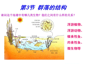 群落结构ke.ppt