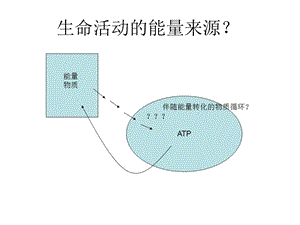 能量与代谢1.ppt