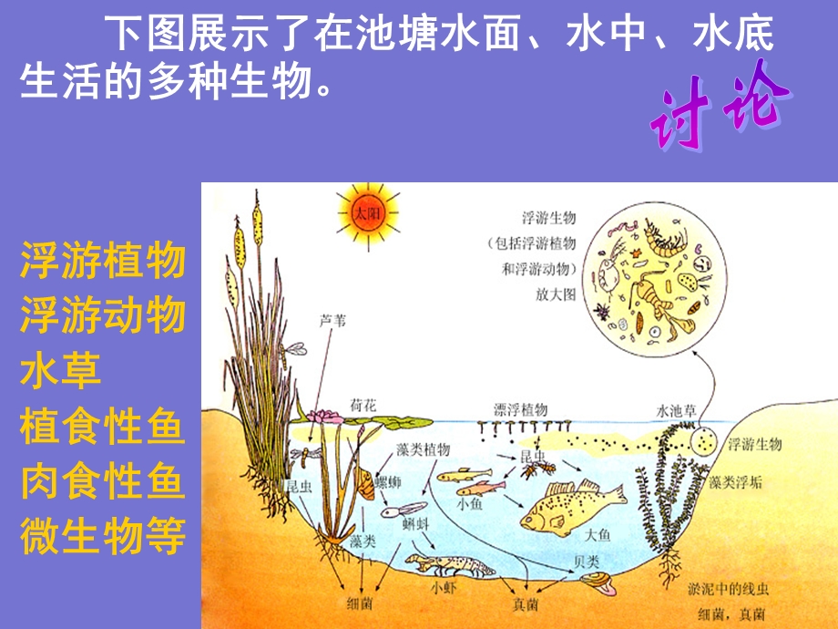 群落的结构H.ppt_第2页