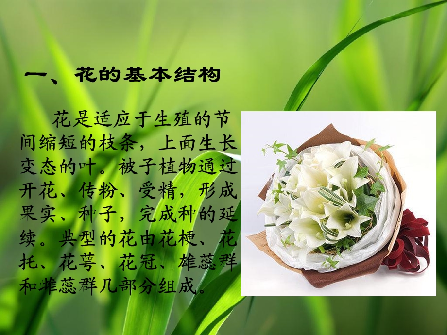 花的结构和类型1.ppt_第2页