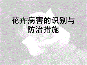 花卉病害防治.ppt