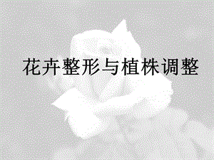 花卉整形修剪促成抑制栽培.ppt