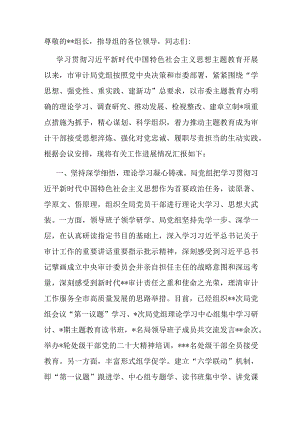 审计局在巡回指导组主题教育总结评估座谈会上的汇报发言.docx