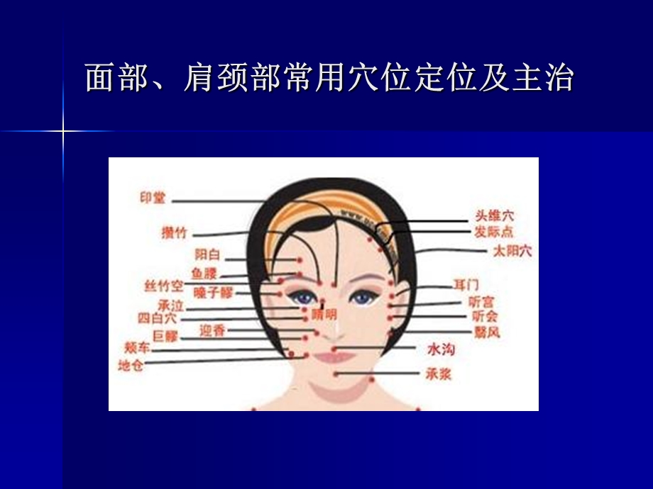 美容师培训系列6.ppt_第2页